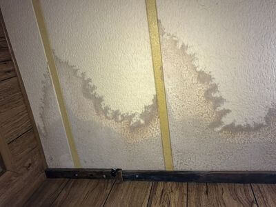 Professional mold removal services in Lawrence, MA - Lawrence Mold Specialist